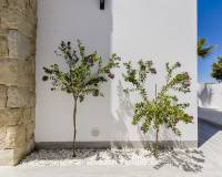 Construction Maison neuve - Villa individuelle - Los Montesinos - La Herrada
