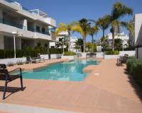 Revente - Appartement - Alicante* NO USAR -  Ciudad Quesada