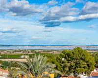 Revente - Villa individuelle - San Miguel de Salinas