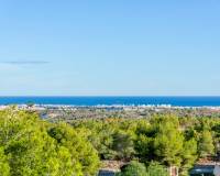 Revente - Villa individuelle - San Miguel de Salinas