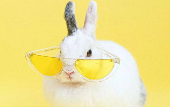 Horaire de fermeture pour Pâques